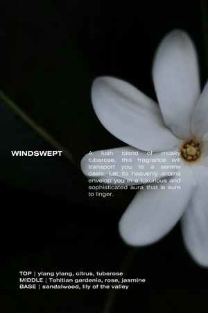 Windswept Eau De Parfum