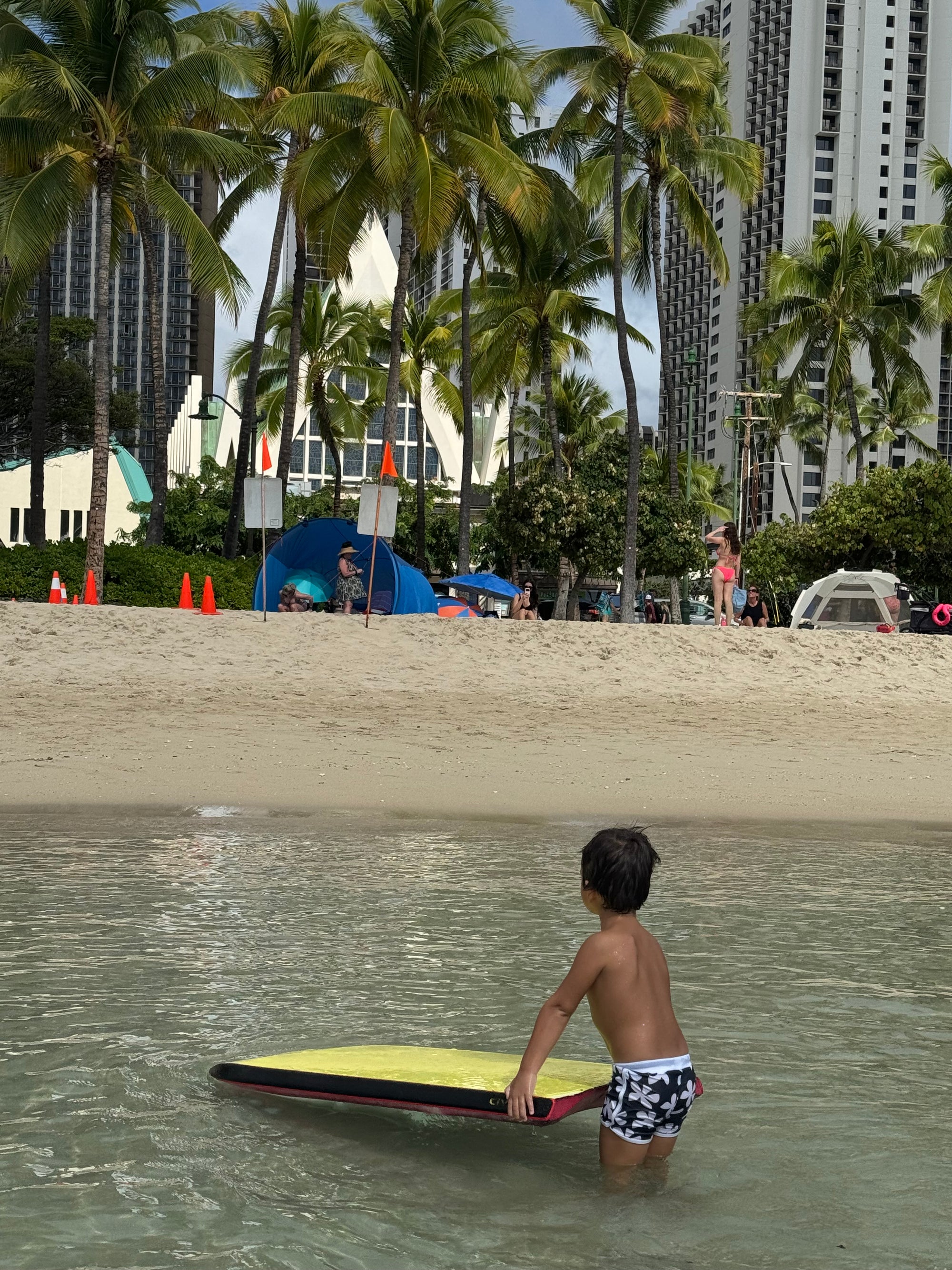 Toddler Soft Shorts for Swim in Black Plumeria
