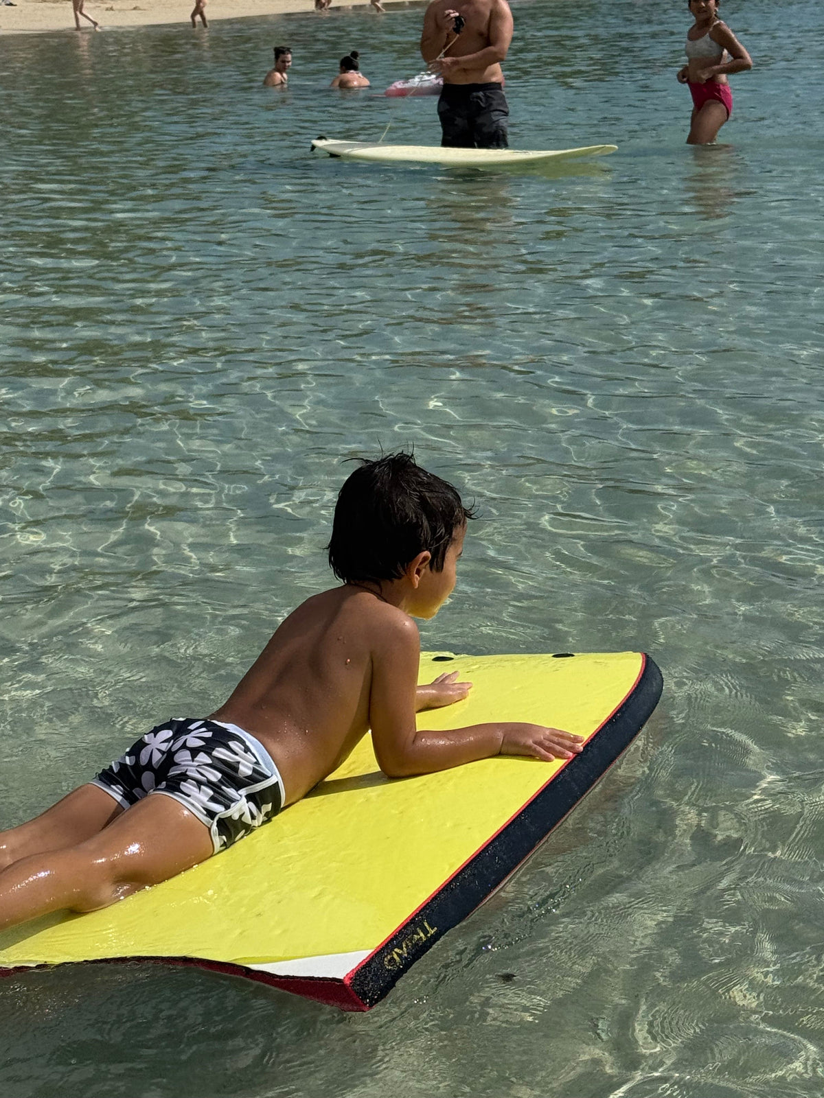 Toddler Soft Shorts for Swim in Black Plumeria