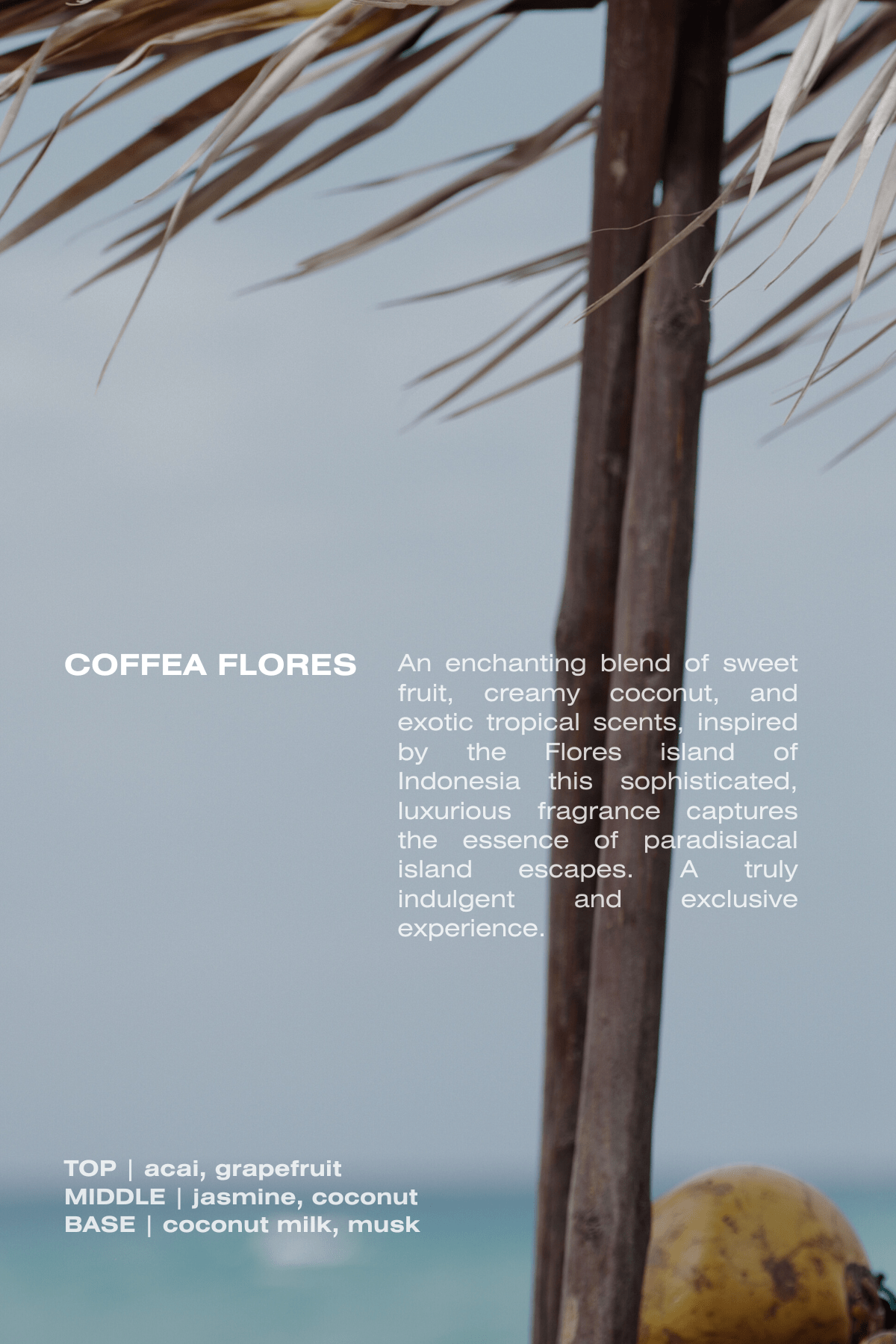 Coffea Flores Eau De Parfum