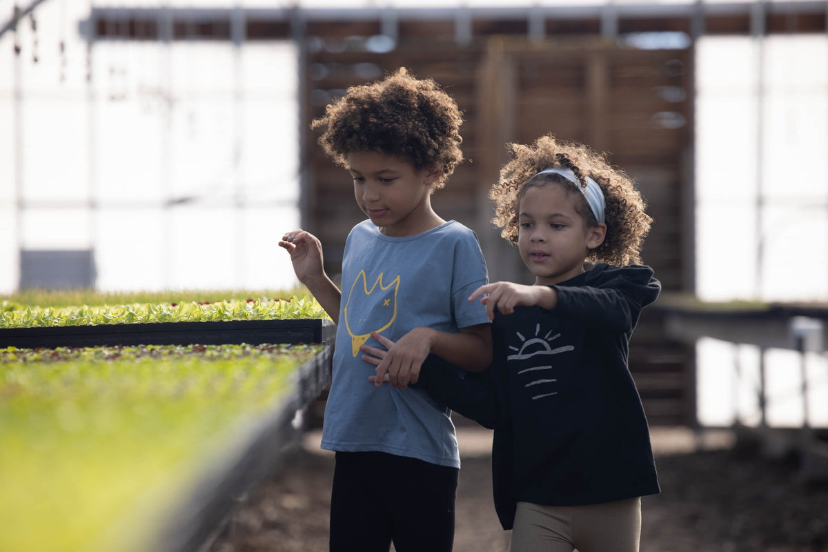 Long Sleeve Tee - Puffy Sleeve - Sun