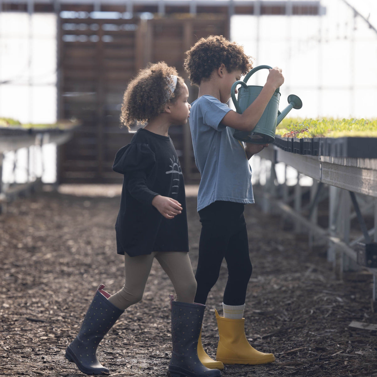 Long Sleeve Tee - Puffy Sleeve - Sun